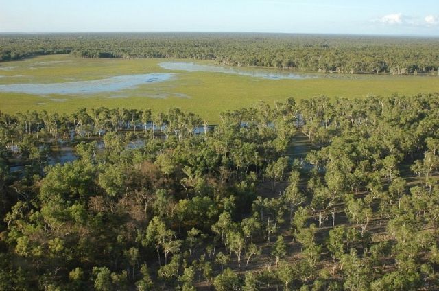 “More Changes in Vegetation Laws”