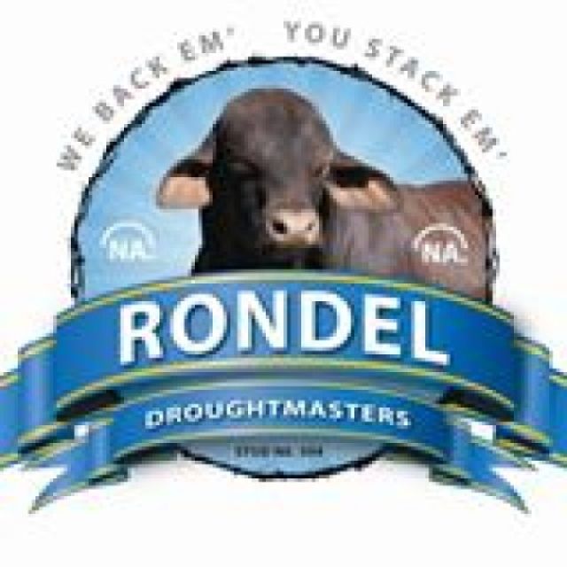Rondel Droughtmasters