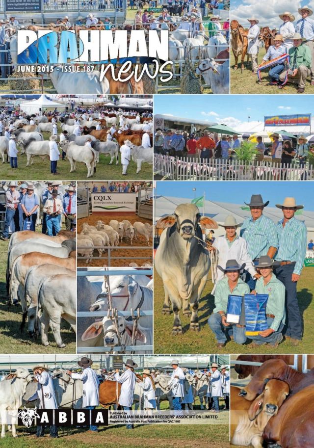 Brahman News out now Read it now on line