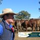 Go to Bizzy Jomanda Bull and Female Sale