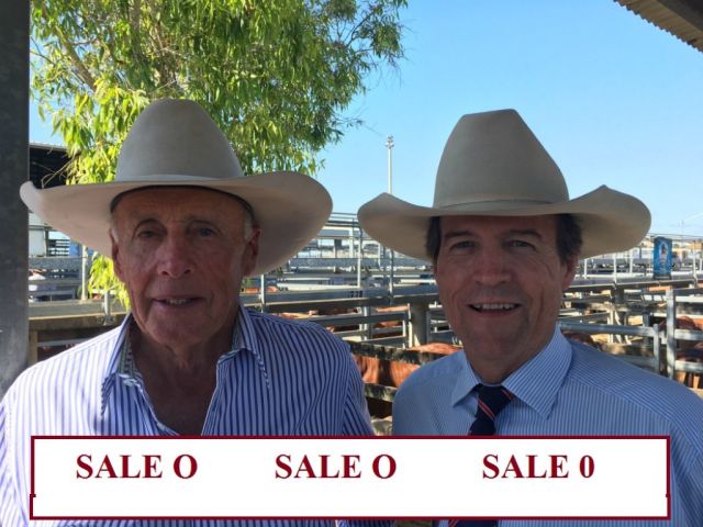 DAY ONE NATIONAL DROUGHTMASTER SALE