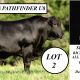 Barronessa Farming  Selling at Richmond