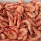 WHAT PRICE WOULD YOU PAY FOR PRAWNS.