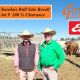 Glenlea Beef  Charolais Bull Sale Winton