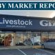 Go to Dalby Report