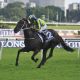 Go to Montjeu influence in four Sydney Group One winners