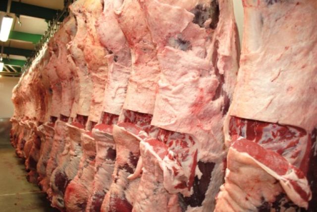 The Australian beef export record