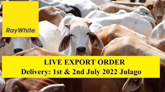 LIVE EXPORT ORDER