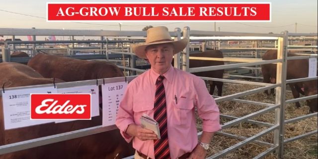 Ag-Grow Elite Bull Sale RESULTS