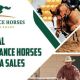 Performance Horses Australia Sales Auction