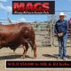 Go to MAGS 2020 SALE