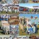 Brahman News out now Read it now on line
