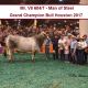 V8 RANCH ROCKS HOUSTON LIVESTOCK SHOW