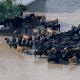 Go to Let's spare a thought for our friends in Texas