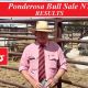 Go to 24th  ANNUAL PONDEROSA INVITATIONAL BULL SALE