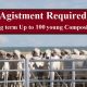 Go to Agistment Required