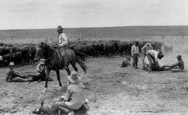 City played a role in Old West cattle drives