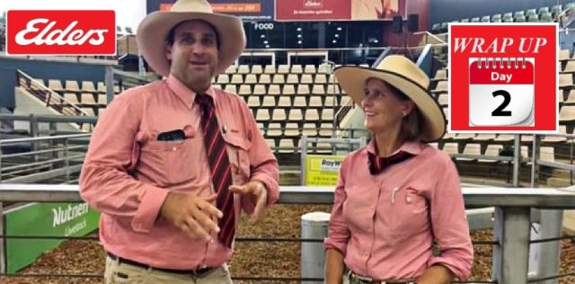 February All Breeds Sale 2024