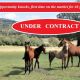 400 Acres Cattle Grazing Block.