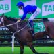 Go to Winx 31st consecutive victory