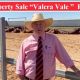 Go to On Property Sale “Valera Vale ” Droughtmasters