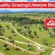 Quality Grazing/Lifestyle blocks.