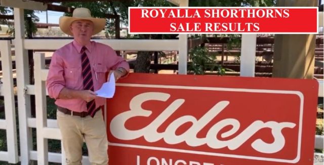 ROYALLA SHORTHORNS  RESULTS