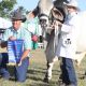 Go to Wrap up on Beef 2015