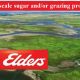 Go to Large-scale sugar and/or grazing property
