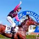 Go to Gold Coast sale Australia’s biggest and most glamorous