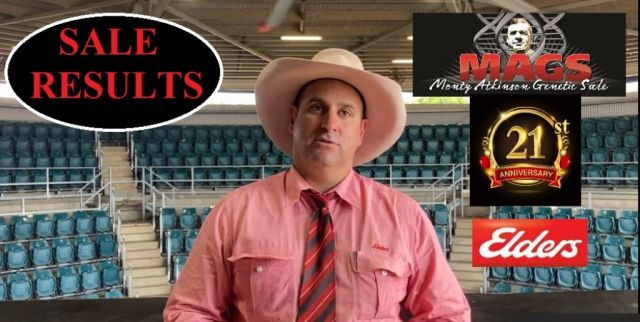 MAGS 21st Bull Sale 2022