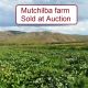 Go to Mutchilba Farm