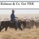 Go to Minister approved a proposal for the sale of S. Kidman & Co.