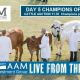 Live Action At The EKKA