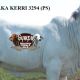 Gympie Female Sale 2021 RESULTS