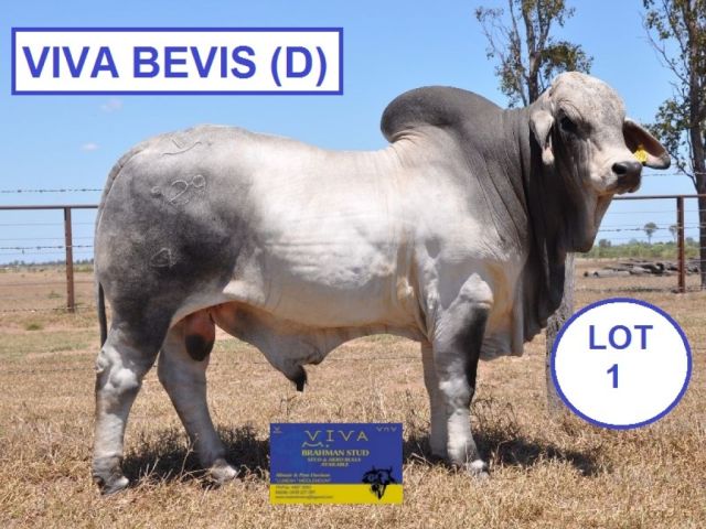 Viva Brahmans