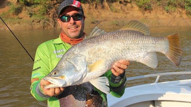 Million Dollar Fish NT Style