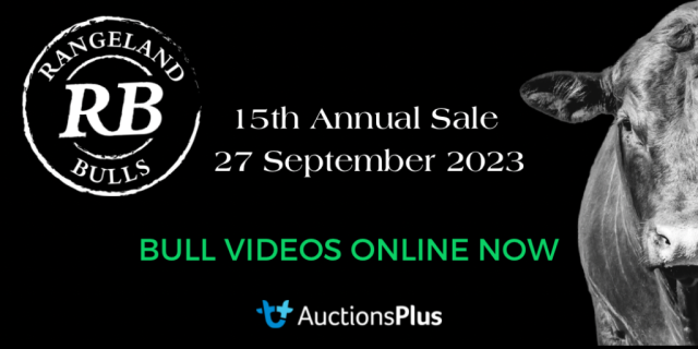 Rangeland Bulls Sale