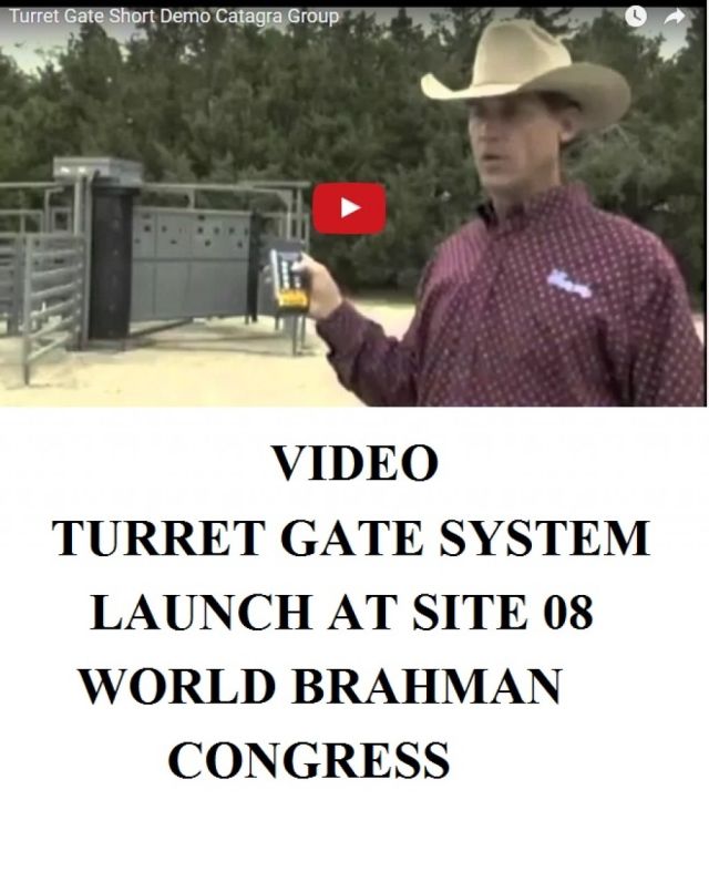 Silencers Turret Gate Revolutionise Cattle Processing