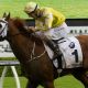Go to Criterion could make Slipper history in Cup