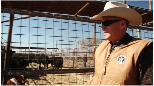Cattle Duffing will rise