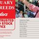 Go to Elders Vendors February All Breeds (2022)