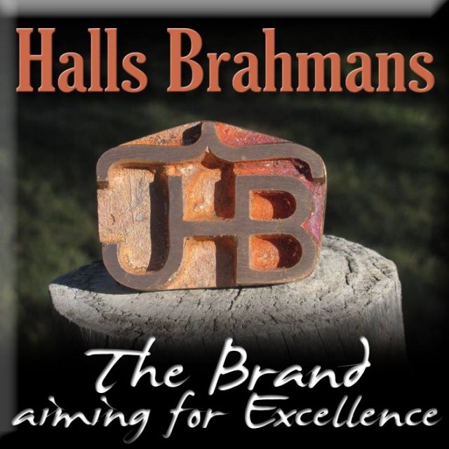 Halls Brahmans,