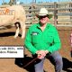 Go to GLENLEA BEEF leader in CHAROLAIS Seedstock.