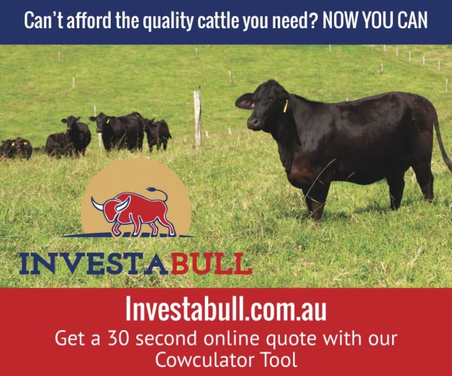 You can now afford the quality cattle you need!
