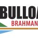 Go to Bulloak Brahmans
