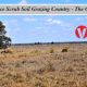 Go to The Gums   Choice Scrub Soil Grazing Country