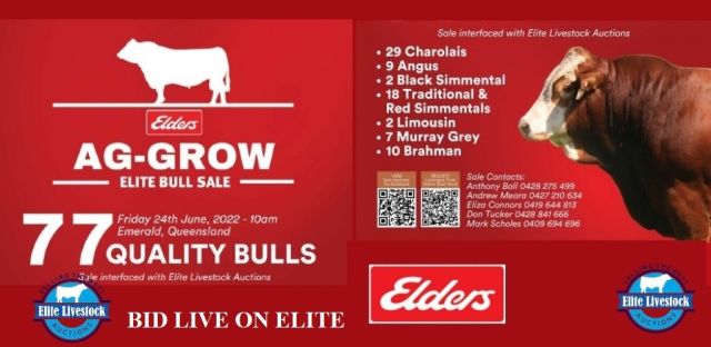 AG-GROW ELITE BULL SALE 2022....