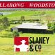 BILLABONG, WOODSTOCK