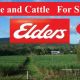 Go to Cane and Cattle